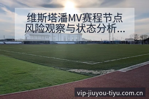维斯塔潘MV赛程节点风险观察与状态分析 - 九游体育