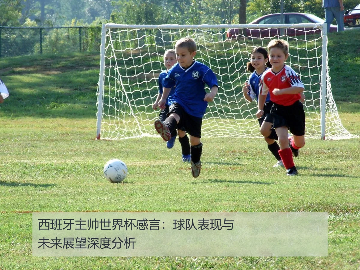 西班牙主帅世界杯感言：球队表现与未来展望深度分析